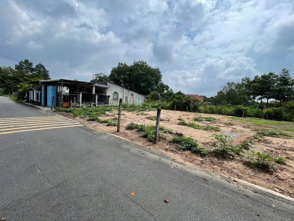 Đất Thổ Cư Bến Cát 250m² - Sổ Đỏ Sẵn, Giá 215 Triệu