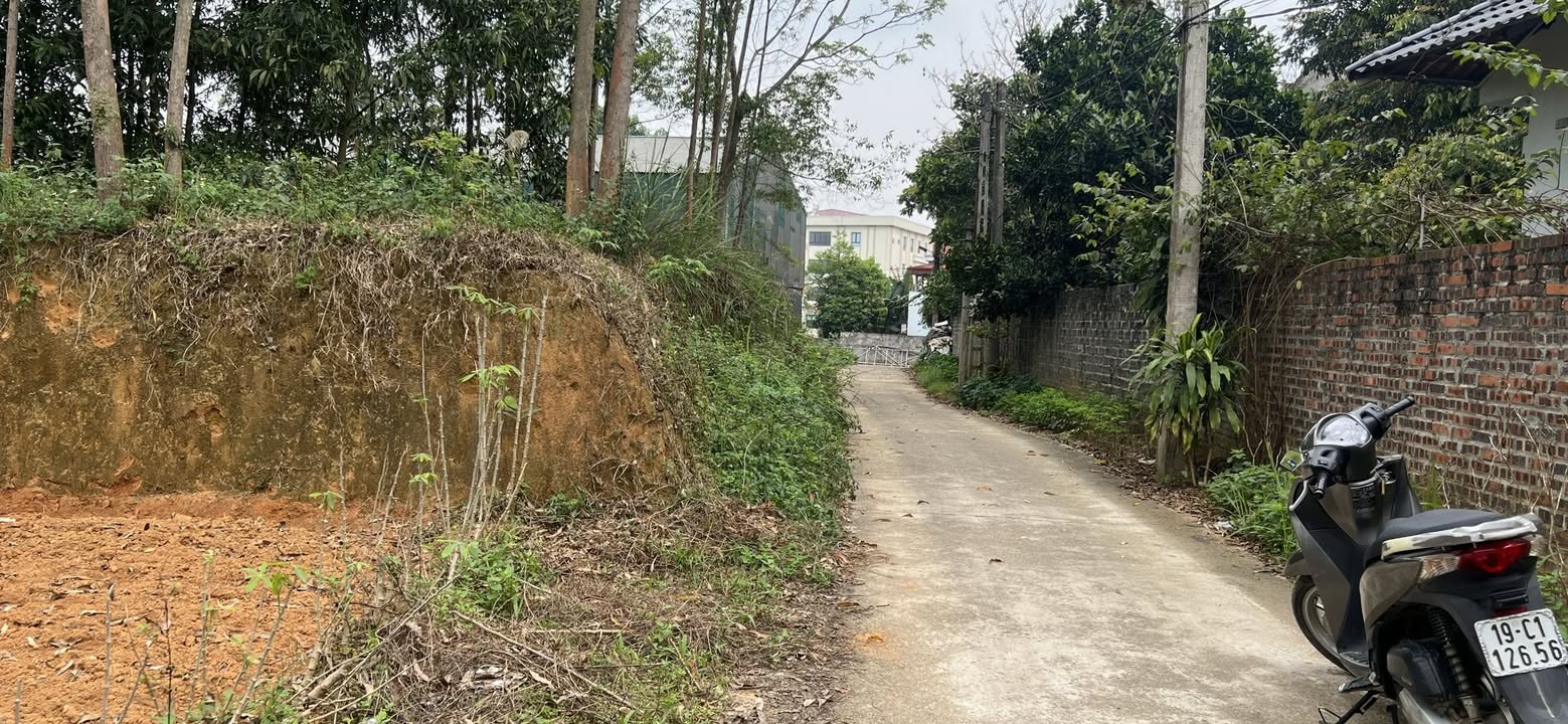 Đất nền đồi 162m² Phù Ninh, Phú Thọ - Sổ đỏ, ô tô vào tận nơi