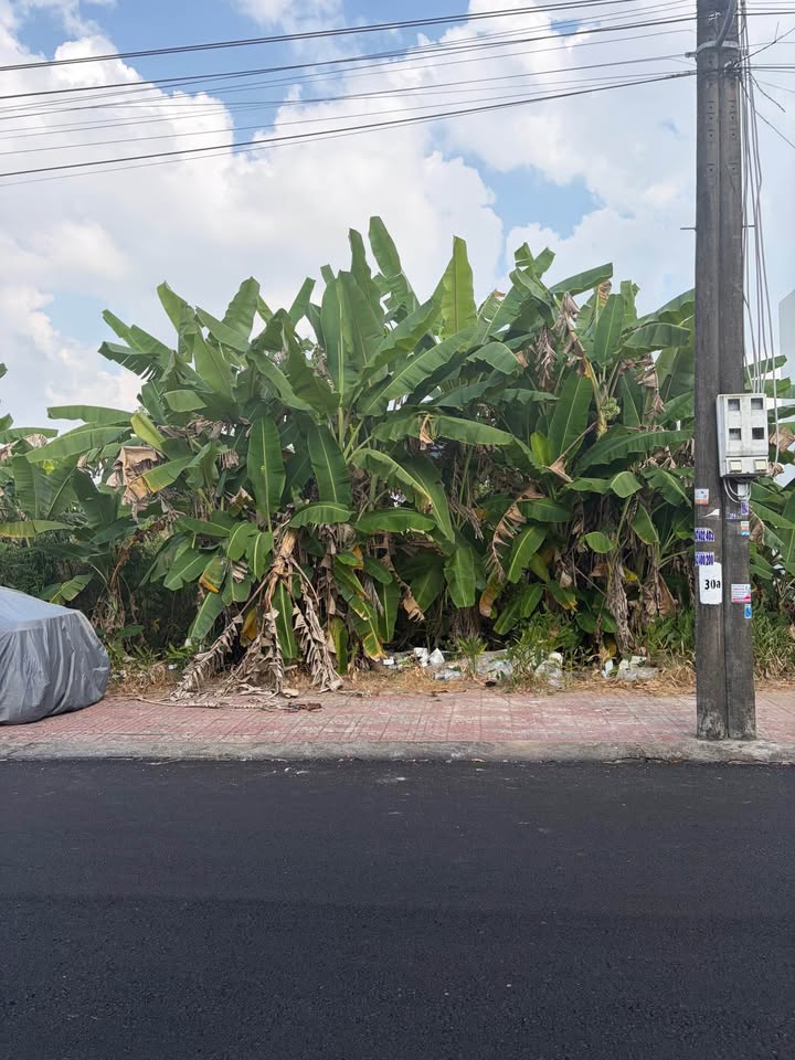 Đất nền Cà Mau 94m² - Sổ hồng chính chủ, đường to ô tô!