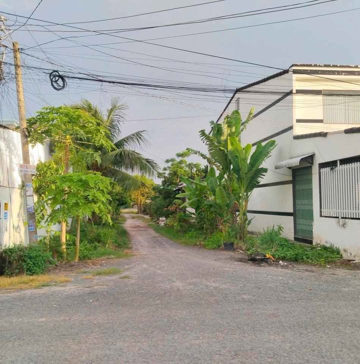 Bán Đất Tây Ninh 156m² - Nở Hậu Lộc Phát, Giá 700 Triệu Chính Chủ