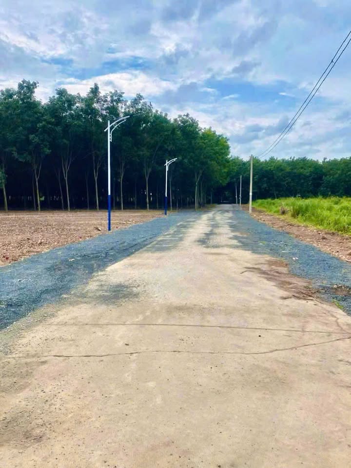 Bán Gấp Đất Thổ Cư Minh Long, Chơn Thành 50m² - Giá Hời 3 Tỷ