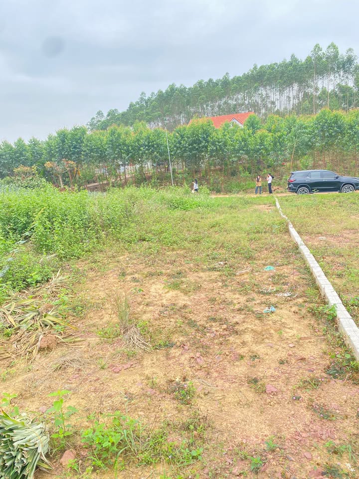 Đất nền Quế Võ, Bắc Ninh 140m² - View hồ, tiềm năng tăng giá!