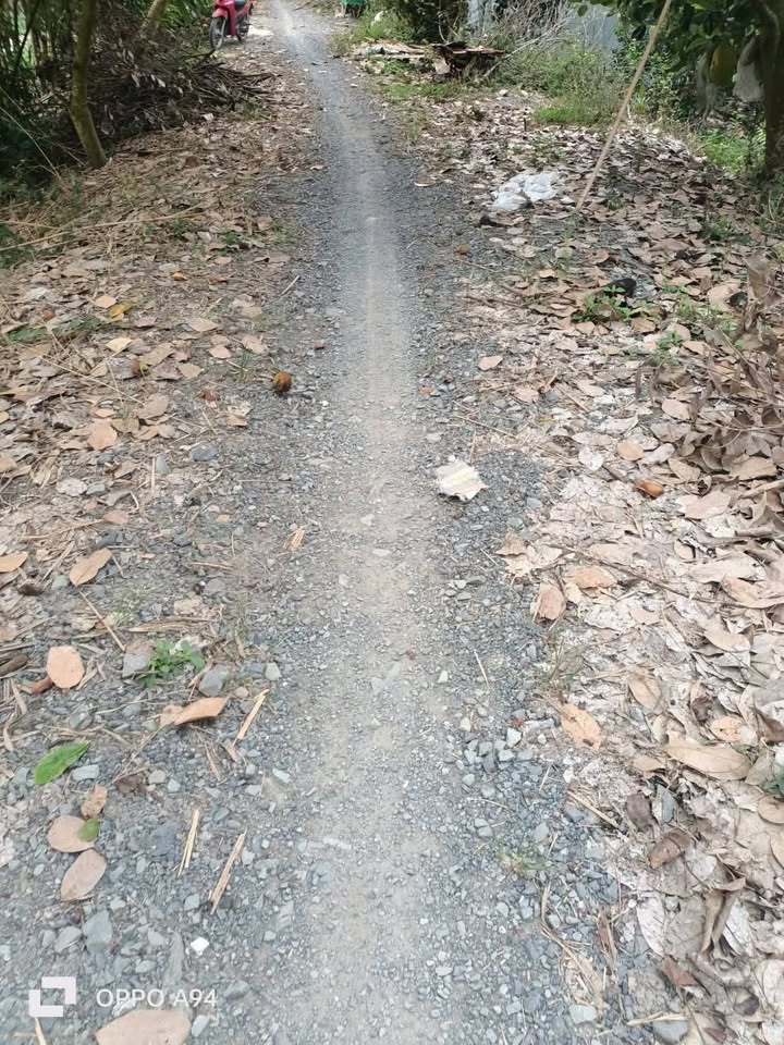 Đất Vàng Đồng Tháp - 30.000m² Mặt Tiền Lộ Đá Mi, Giá Đầu Tư 28 Tỷ