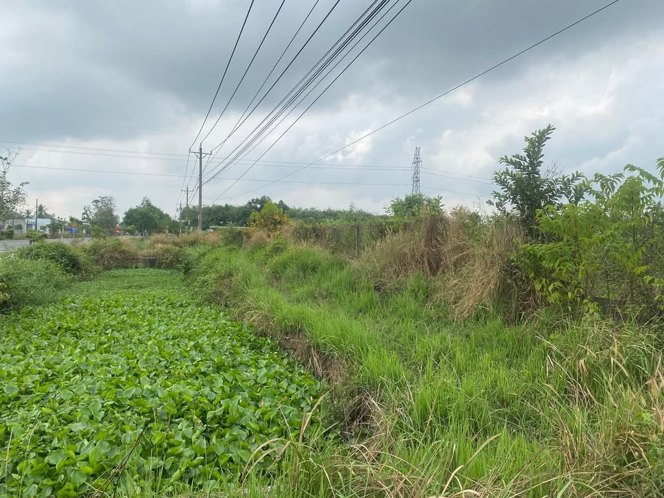 Đất kho xưởng 4080m² mặt tiền QL 22 Châu Thành, Tây Ninh - Giá 40.8 tỷ