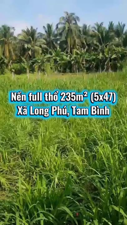 Đất Thổ Cư 235m² Sổ Đỏ Tại Long Phú, Tam Bình, Vĩnh Long - Giá Tốt