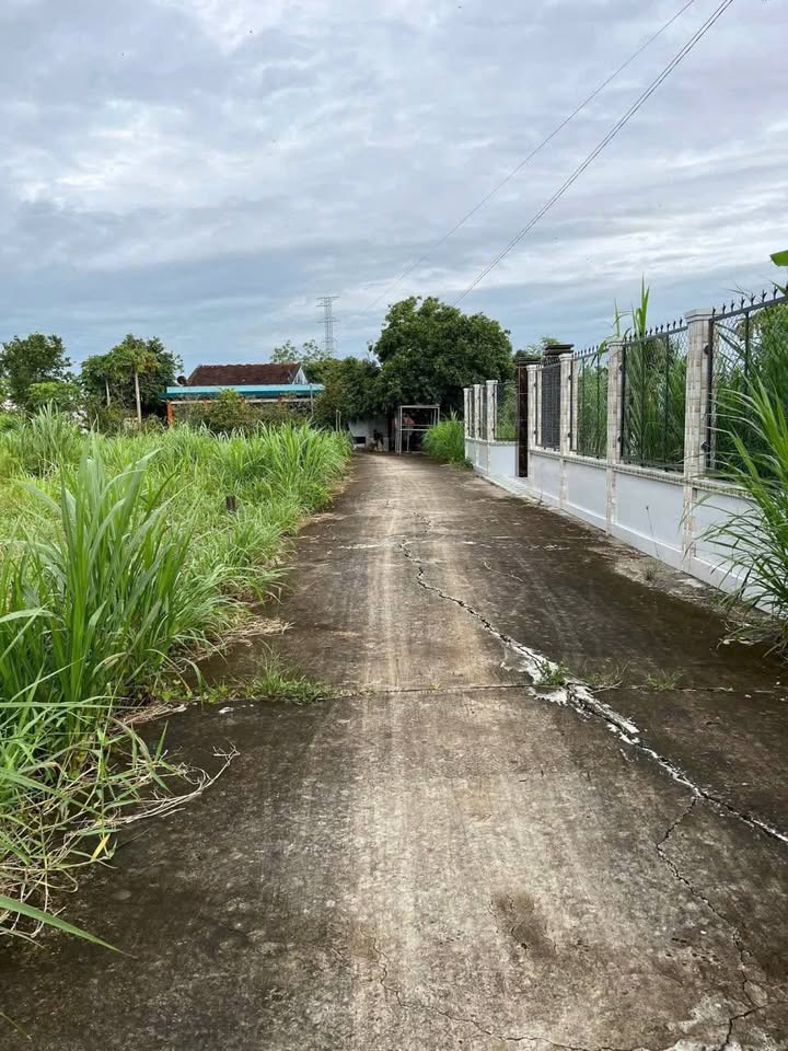 Đất nền 150m² Bình Tấn, Thanh Bình - 450 triệu, Sổ đỏ sẵn sang