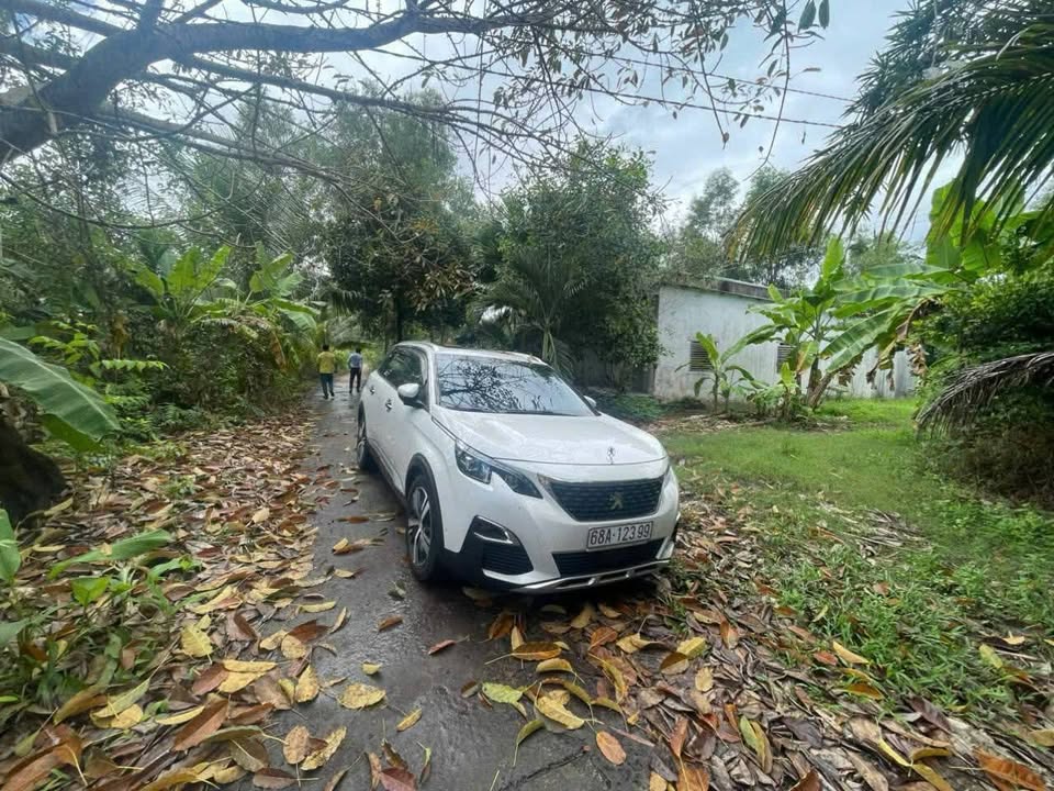 Bán Gấp Đất Vườn 113.094m² Tại Tân Hiệp, Kiên Giang - Giá Đầu Tư 150 Triệu/Công