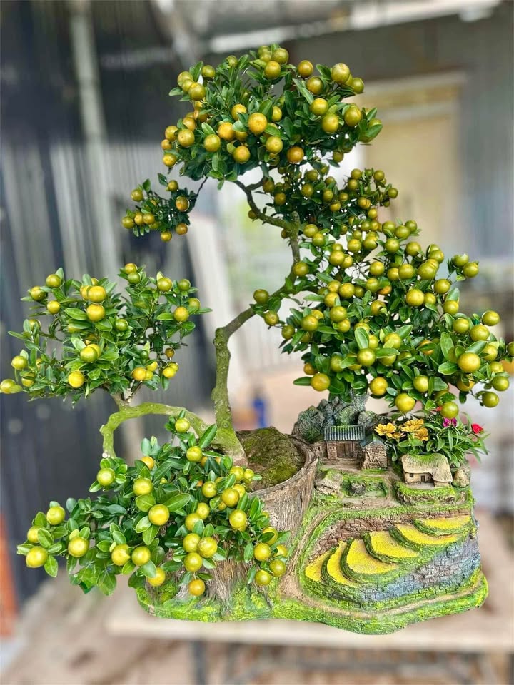 Đất nền Đại Đình, Tam Đảo, Vĩnh Phúc 500m² - Sổ đỏ chính chủ