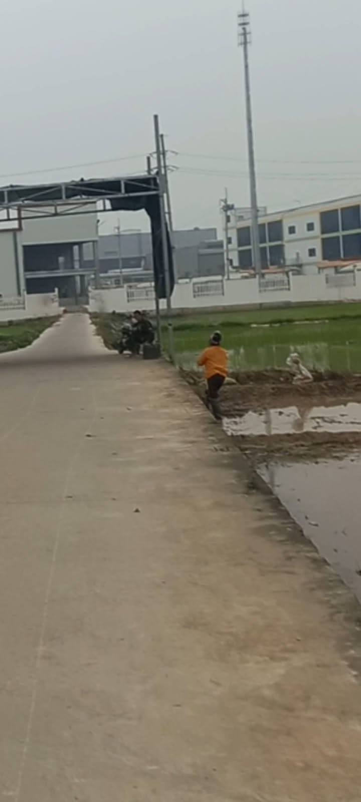 Đất nền 100m² mặt tiền 5m - Trục chính KCN Thuận Thành 2, Bắc Ninh