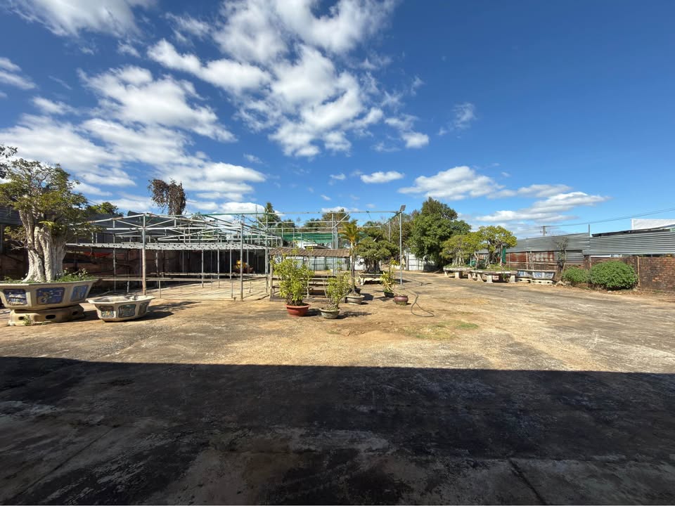 Kho xưởng Pleiku 5000m² - Hoạt động ngay!