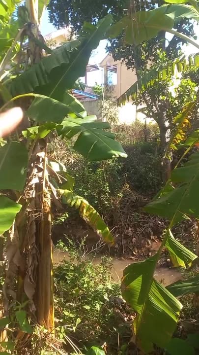 Đất nền Gia Lai 378m² giá 700 triệu - Tiềm năng tăng giá!