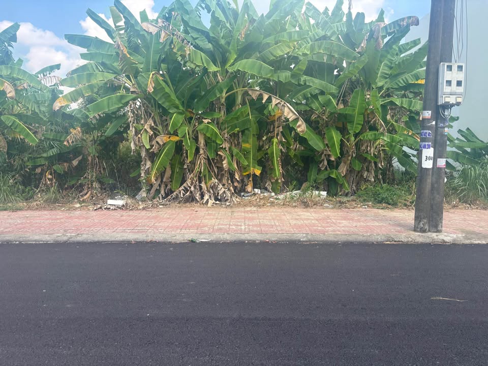 Đất nền Hồ Thị Kỷ Cà Mau 93m² 1.25 tỷ - Sổ đỏ chính chủ