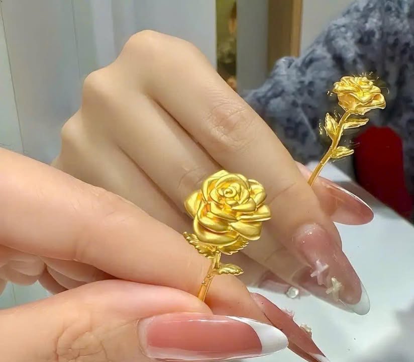 Bán Đất Biệt Thự Maya Phạm, Hải Phòng - 180m² View Công Viên, Giá 5.5 Tỷ Tiềm Năng X2