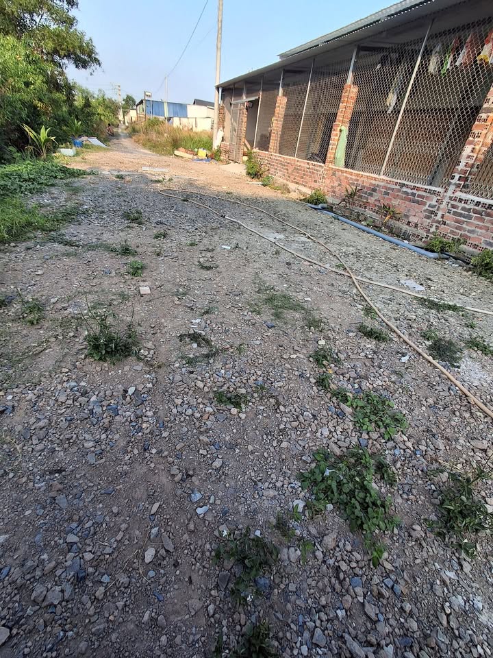 Đất nền Ấp 1 Long Thọ 300m² giá 1 tỷ - Đầu tư sinh lời ngay!