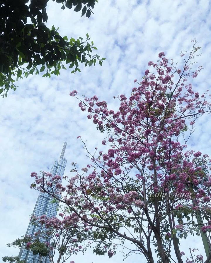 Căn hộ 2PN Vinhomes Central Park 91m² Sổ hồng sẵn, View sông công viên