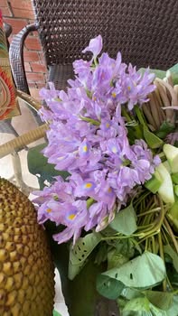 Bán Đất Tặng Nhà Cấp 4 Phường Tân Ngãi, Vĩnh Long - 182.6m² Giá Tốt