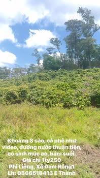 Farm Đạ K' Nàng, Đam Rông 2880m² - Sinh thái xanh, tiềm năng lớn!