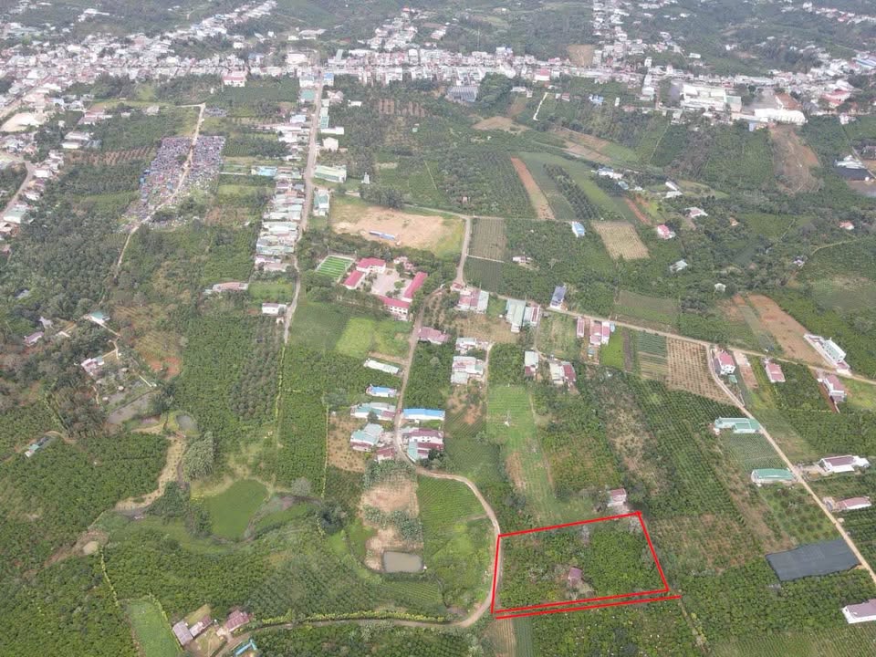 Đất nền Lộc An, Bảo Lâm 3700m² – Sổ đỏ chính chủ, 3 mặt tiền!