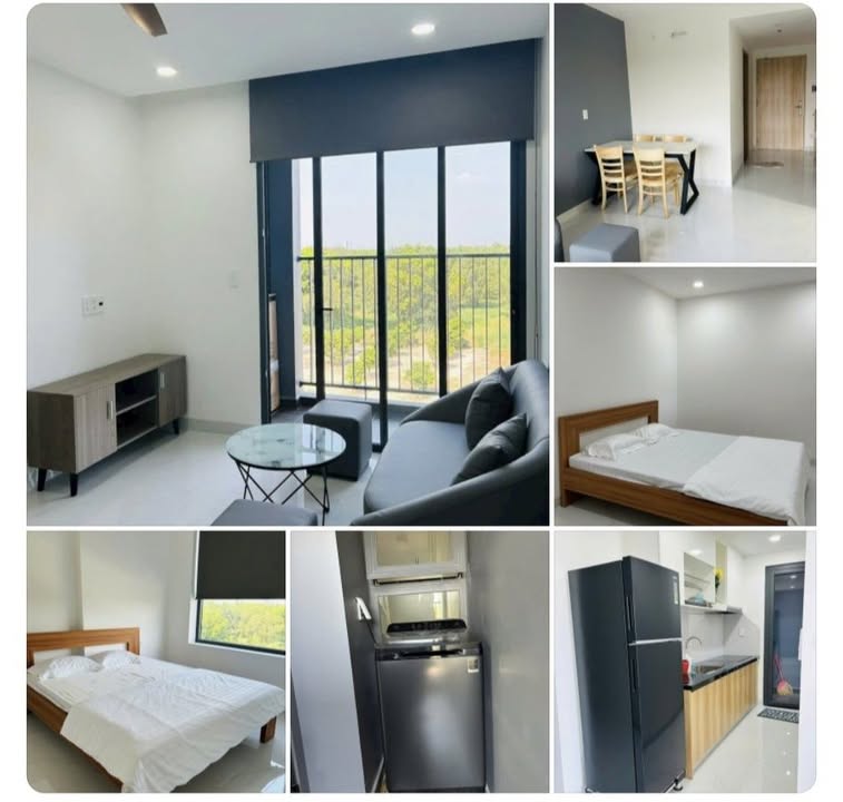 Cho thuê Căn hộ Biconsi Phú Mỹ 55m² - Full Nội Thất, Giá 8 Triệu