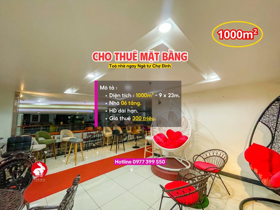 Cho thuê Tòa nhà 6 tầng mặt tiền 1000m² - Ngã tư Chợ Đình, Bình Dương