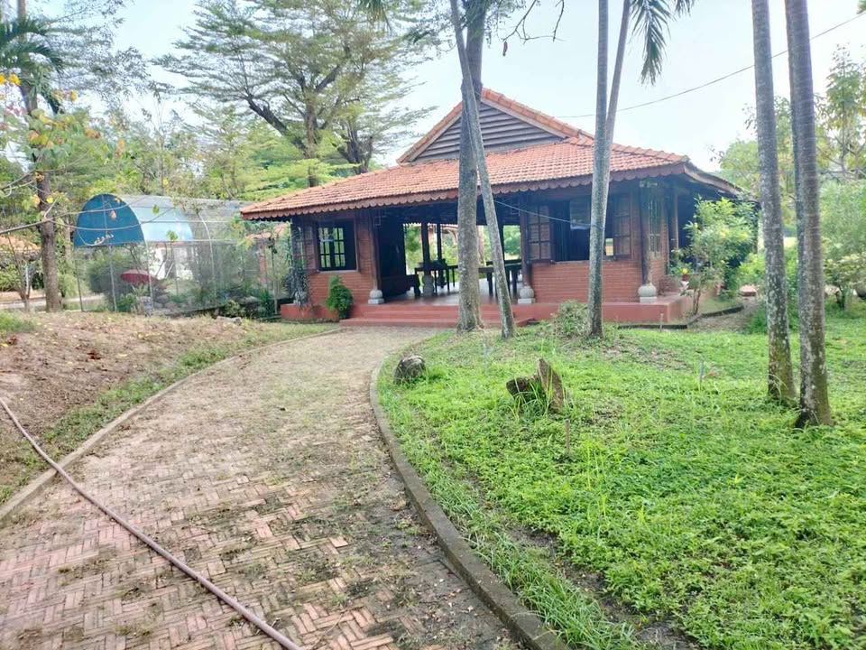 Mặt bằng Đường Lò Lu Quận 9 3500m² – Vị trí đắc địa!