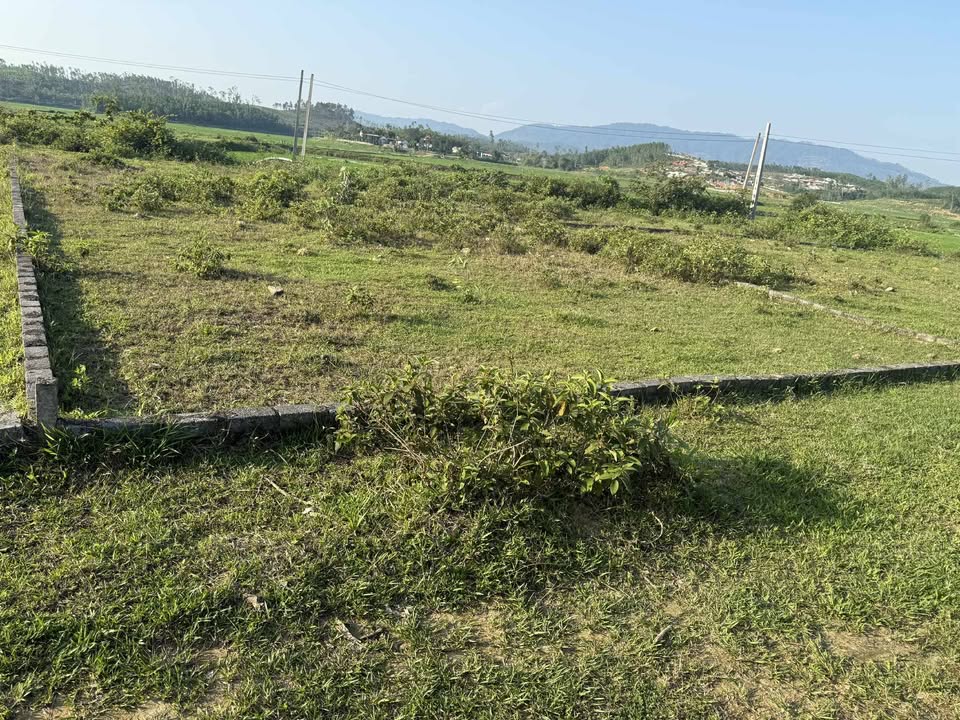 Bán Đất Nền Nam Đàn 359m² Sổ Hồng Sẵn - Giá Chỉ Từ 9 Tỷ