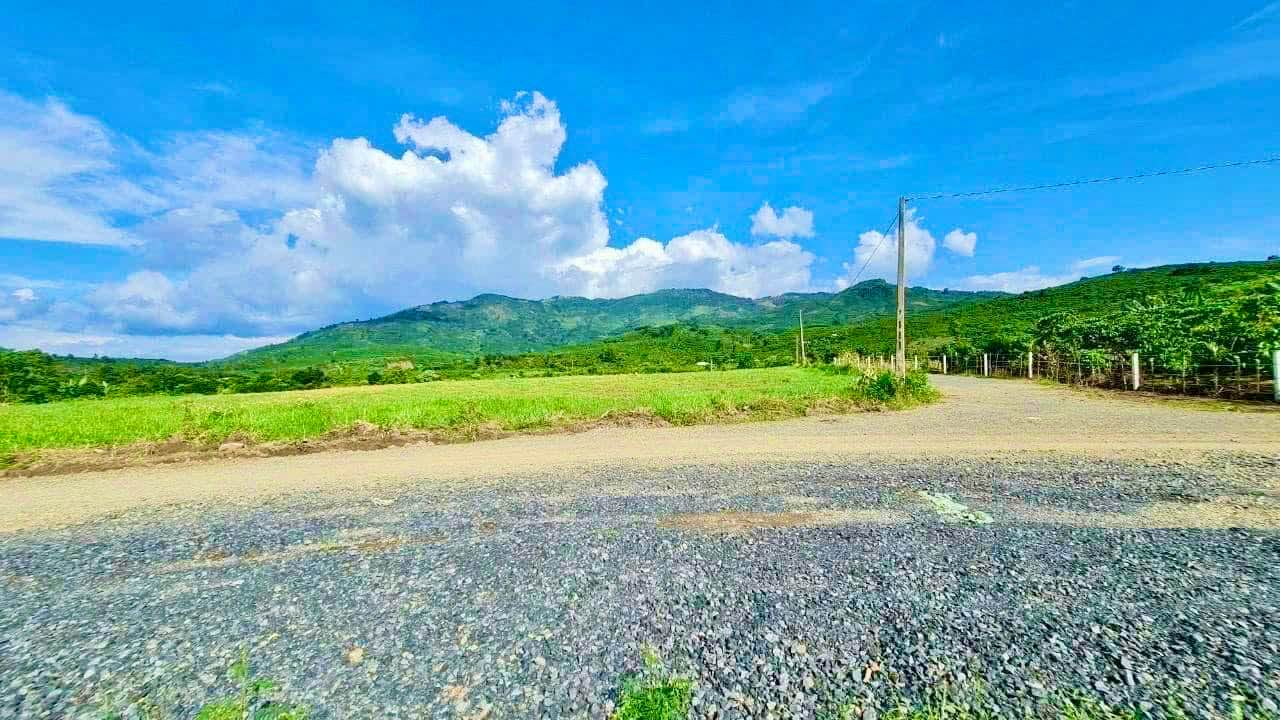 Đất Nền 1083m² Lộc Châu, Bảo Lộc - Giá Ngộp 1 Tỷ, View Núi Thoáng Đãng