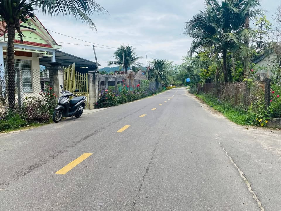 Bán Đất Mặt Tiền Mỹ Hiệp, Phù Mỹ - 160m² Thổ Cư, Giá 4xx Triệu