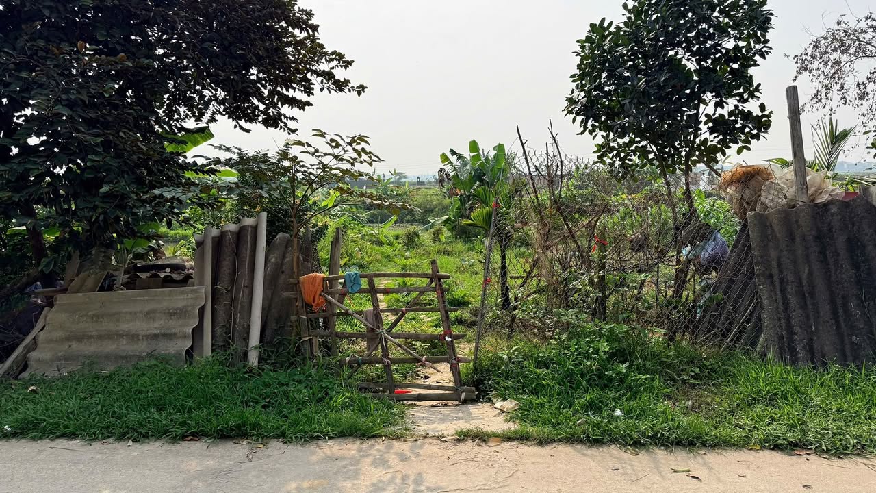 Đất Nền 100m² Full Thổ Cư Hạc Lâm, Bắc Giang - Giá 2 Tỷ Đầu Tư Sinh Lời