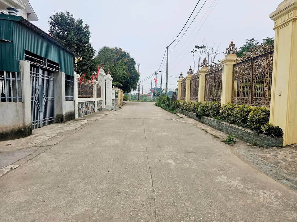 Đất nền Gia Viễn 120m² giá 1.6 tỷ - Tiềm năng tăng giá vượt trội!