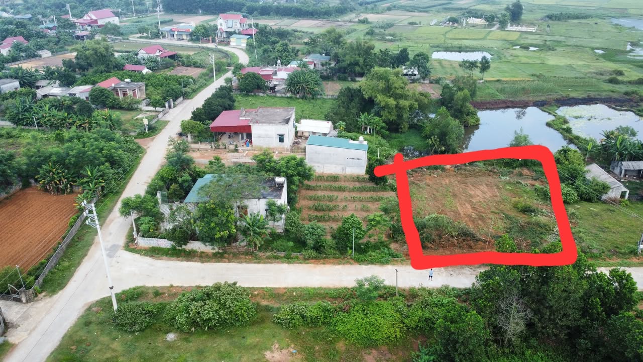 Đất nền Tượng Sơn 1100m² - Mặt tiền lớn, tiềm năng tăng giá!