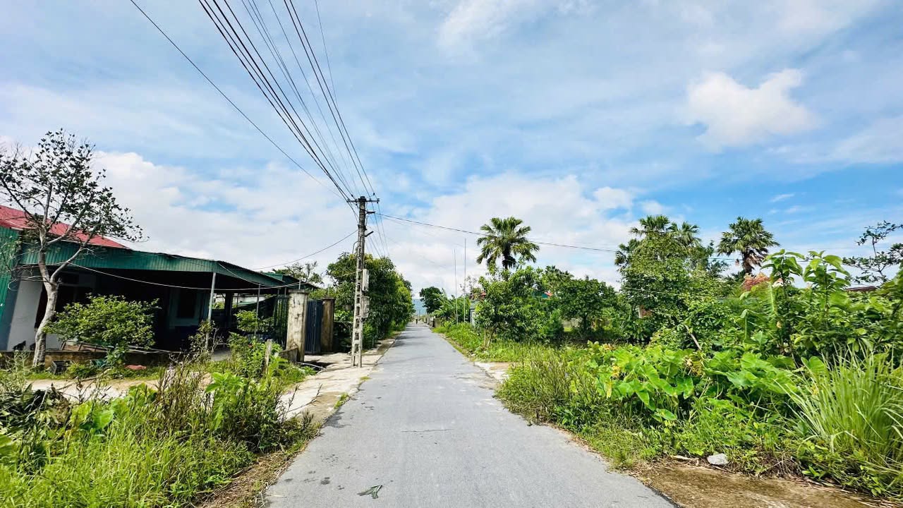 Đất nền Thôn Tiến Bộ, Tân Lâm Hương 259.9m² - Đường to ô tô!