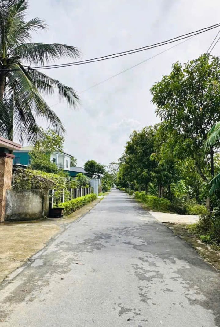 Đất nền Hà Tĩnh 260m² - Đất thổ cư 100%, sổ đỏ sẵn sàng!