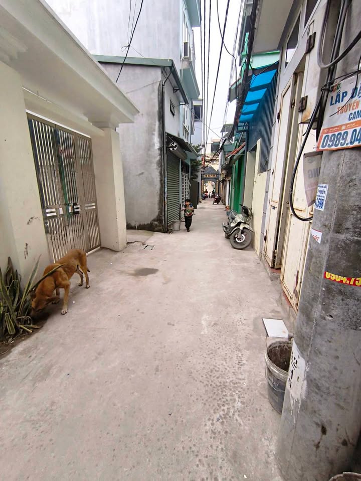 Nhà riêng Tứ Hiệp Thanh Trì 40m² giá 6 tỷ - Chính chủ bán!