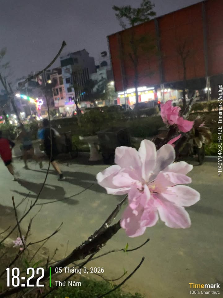 Đất nền Đông Tiến, Thanh Hóa 125m² - Sổ đỏ sẵn sàng, giá đầu tư tốt