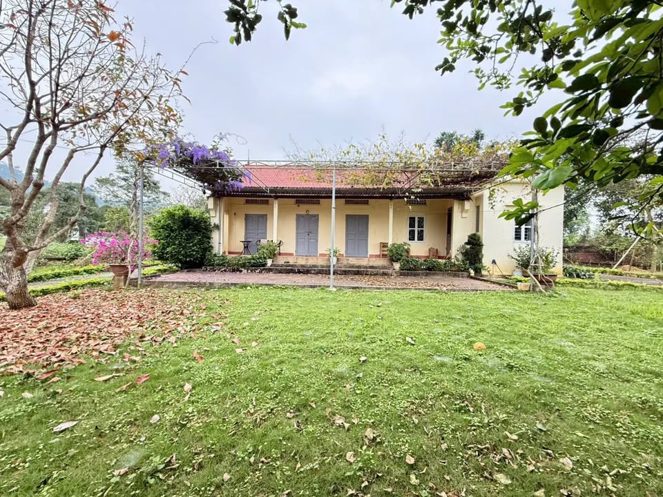 Bán Đất Vườn Nghỉ Dưỡng 2.200m² Yên Bài, Ba Vì - Có Suối Riêng