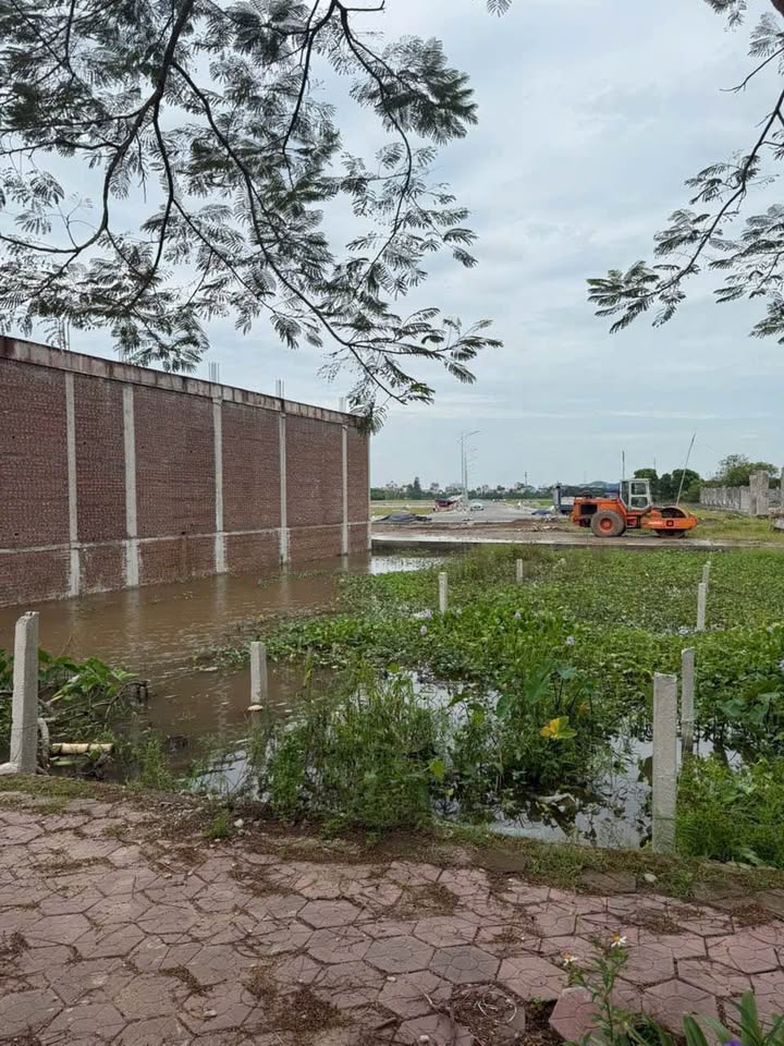 Đất nền Phường Hiến Nam Hưng Yên 80m² - Tiềm năng tăng giá vượt trội!