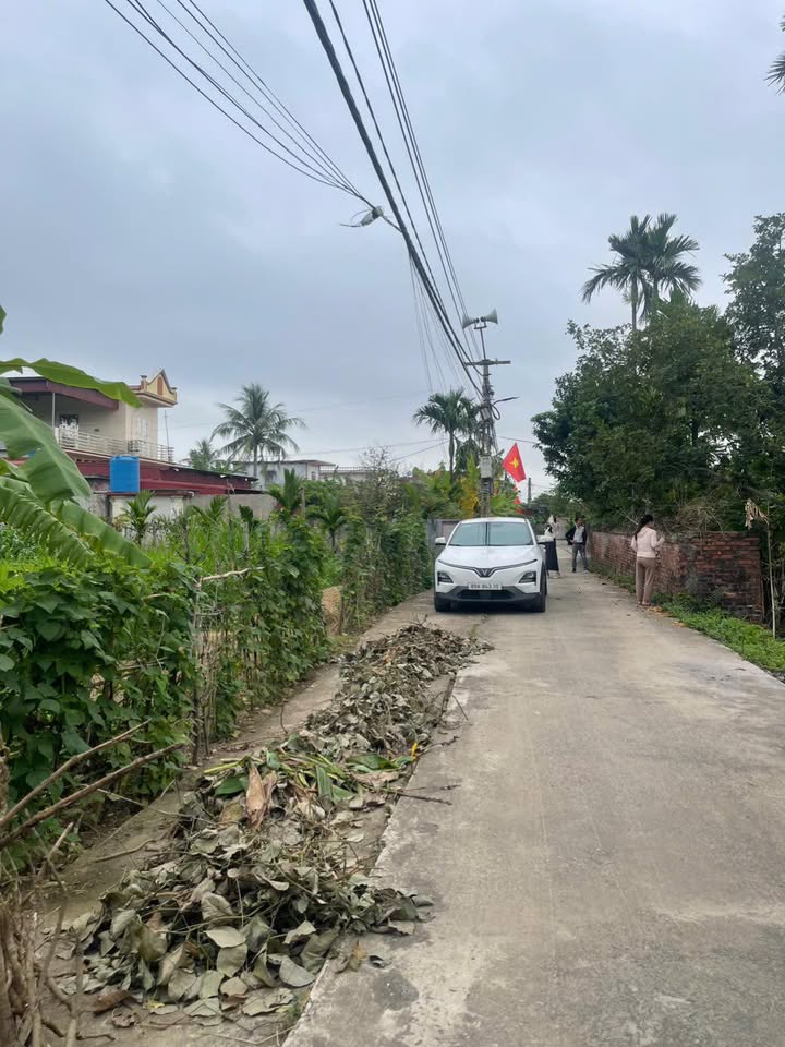 Đất Thuần Thành 100m² Sổ Đỏ Thổ Cư - Giá Chỉ Vài Trăm Triệu