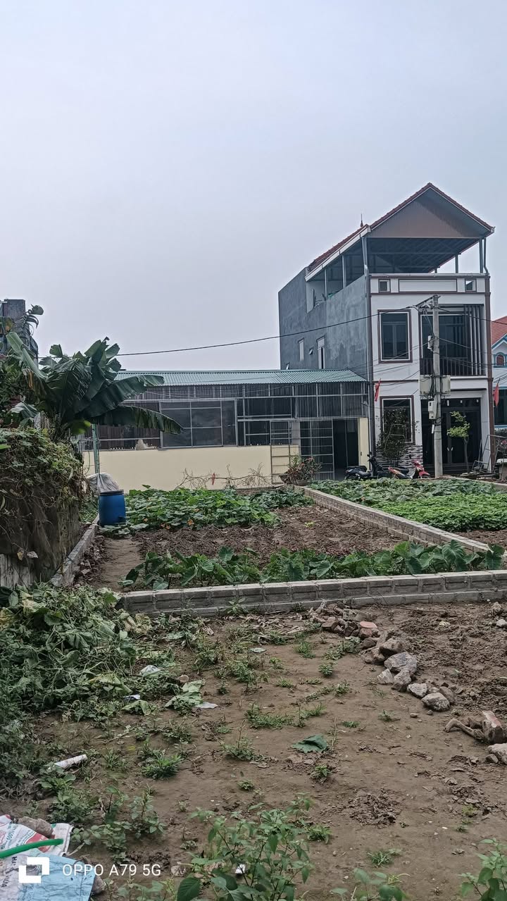 Đất nền Chương Dương, Thường Tín 54m² – Pháp lý rõ ràng, ô tô vào tận nơi!