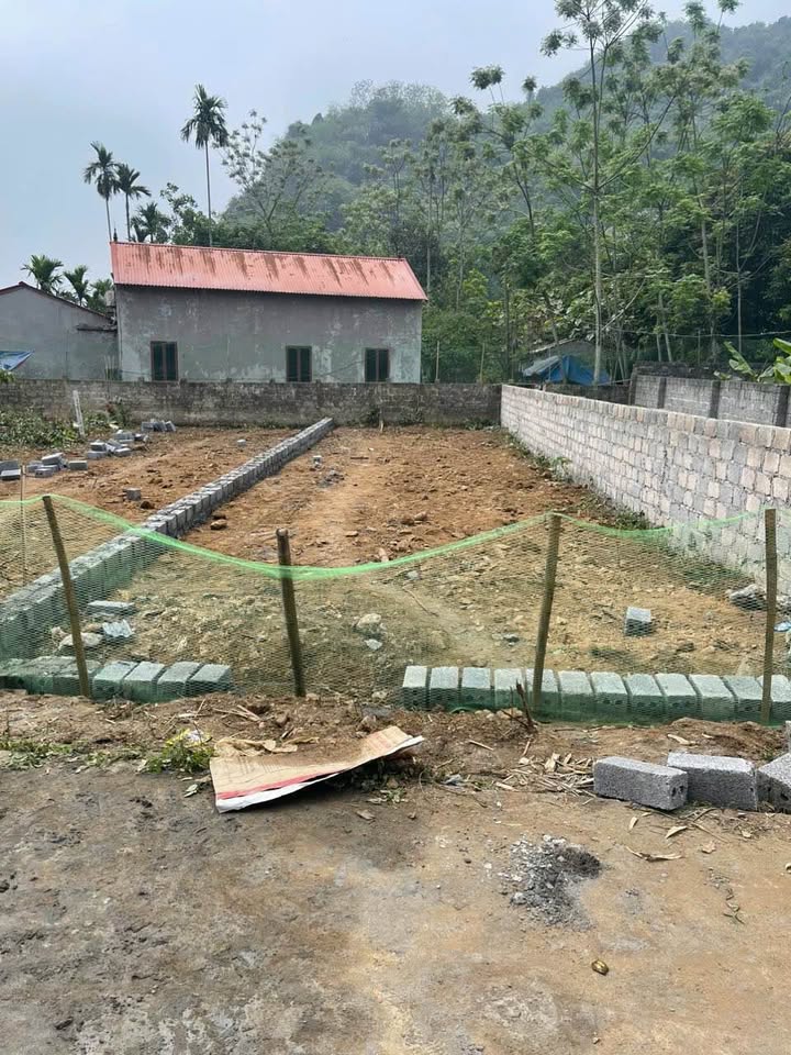 Đất nền Lương Sơn Hòa Bình 101m² - Sổ hồng chính chủ!