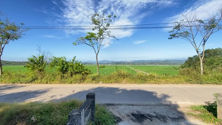 Bán Đất Vườn 5000m² Phú Vang, Tuy Hoà - View Ruộng Thoáng Mát