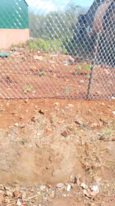 Đất Mặt Tiền Liên Xã Đức Cơ, Gia Lai - 420m² Sổ Đỏ Giá Tốt