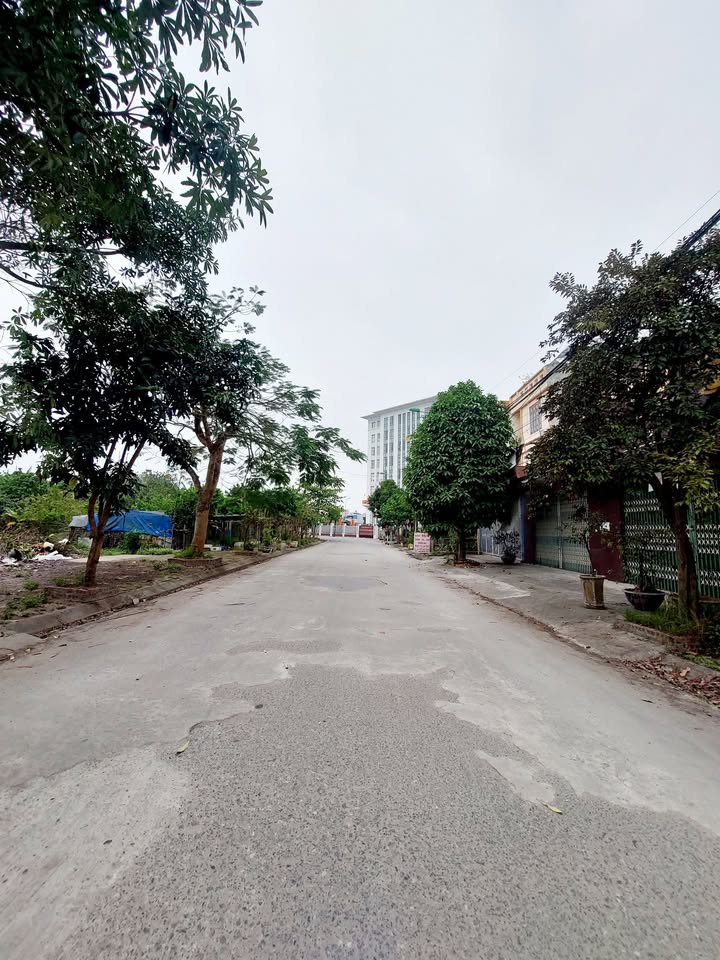 Đất nền mặt đường Trần Khắc Chung, Nam Định - 124m², Hướng Nam, Giá tốt