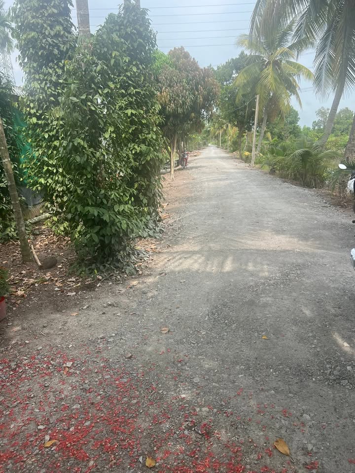 Đất nền Đức Hòa 2435m² - Sổ hồng chính chủ, đường ô tô