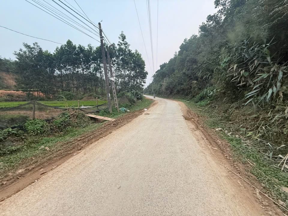 Đất nền Đồng Hỷ 120m² - Trung tâm Sông Cầu, giá đầu tư tốt!