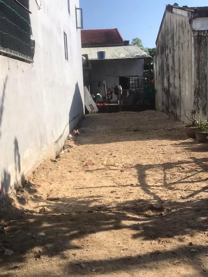 Bán Gấp Đất Nền 98m² Đường Nguyễn Phong Sắc, Hội An - Giá Tốt