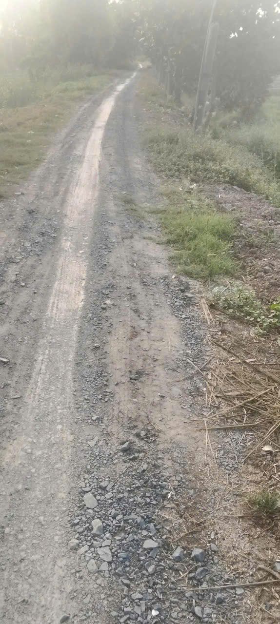 Đất Ruộng Tân Hội Trung, Cao Lãnh 4500m² - Tiềm năng tăng giá vượt trội!