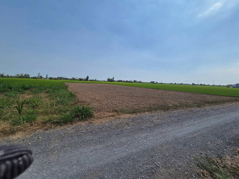 Đất nền Gò Công Tây 275m² - Giá F0 CĐT, sổ đỏ chính chủ!