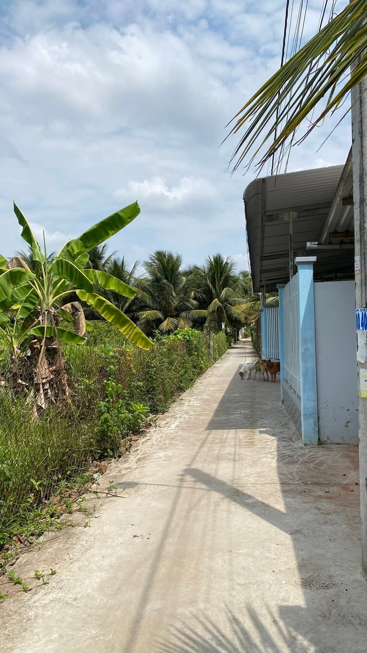 Đất Nền Mỹ Phong, Mỹ Tho - 107m² Sổ Đỏ Giá Tốt Chỉ Từ 4xx Triệu