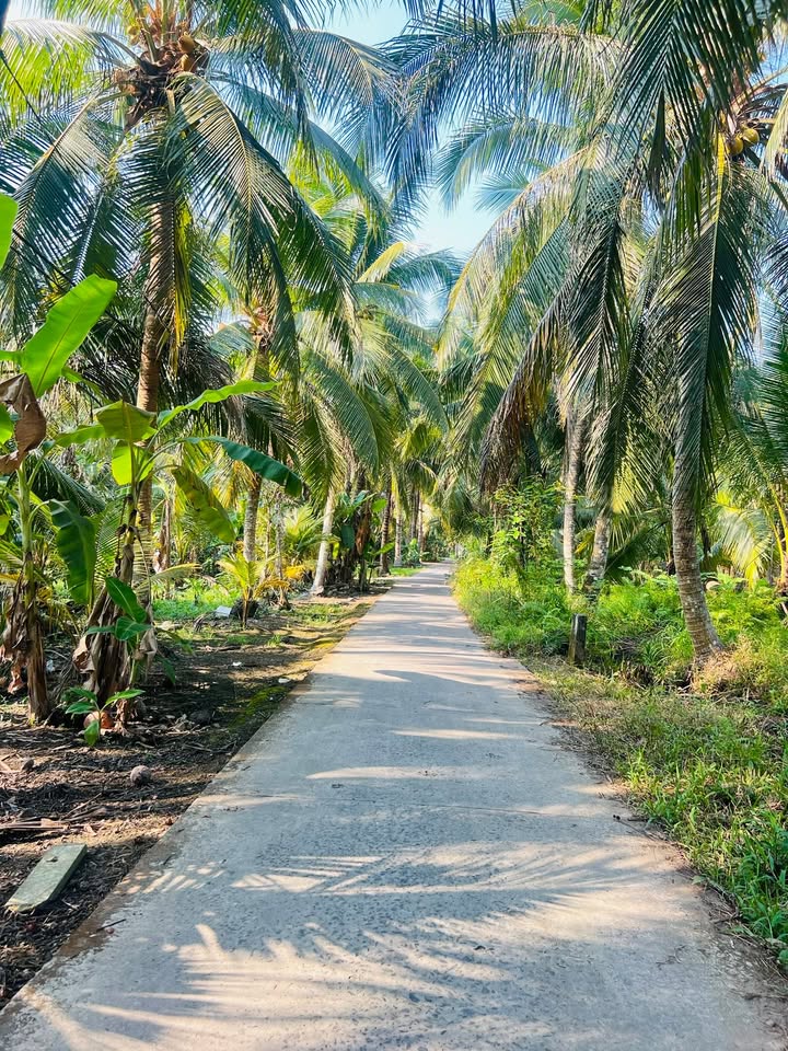 Đất Vườn Tiền Giang 238m² Hướng Tây - Giá 440 Triệu Bao Giấy Tờ